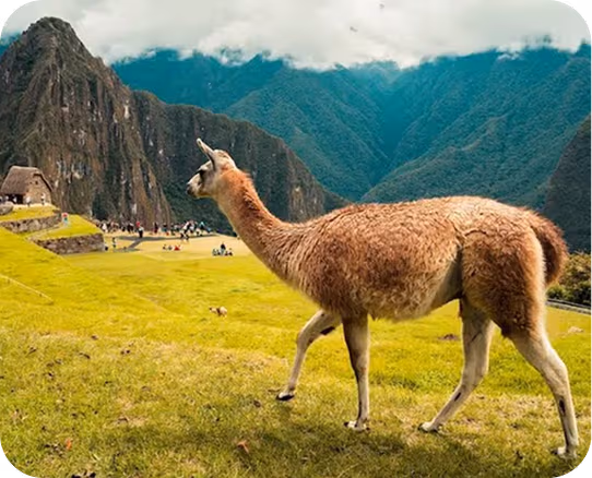 Informações sobre Viagens para América do Sul